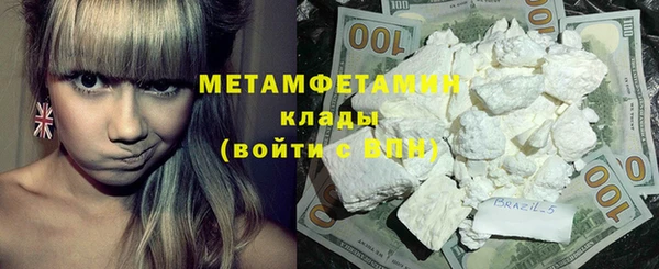 прущие грибы Беломорск