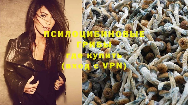 круглые Белокуриха