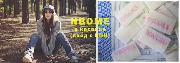 прущие грибы Беломорск