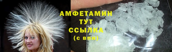 прущие грибы Беломорск